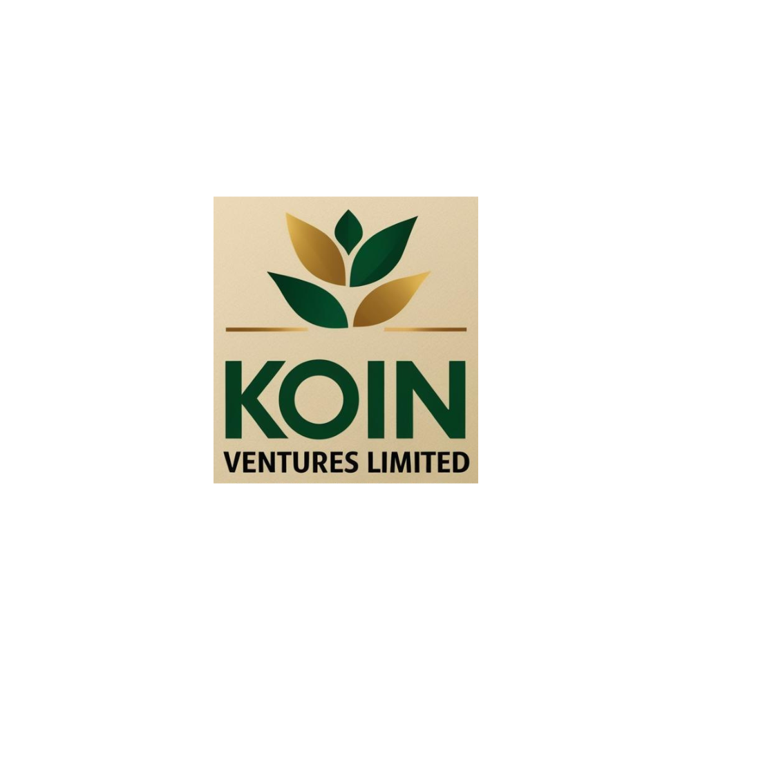 Koin ventures